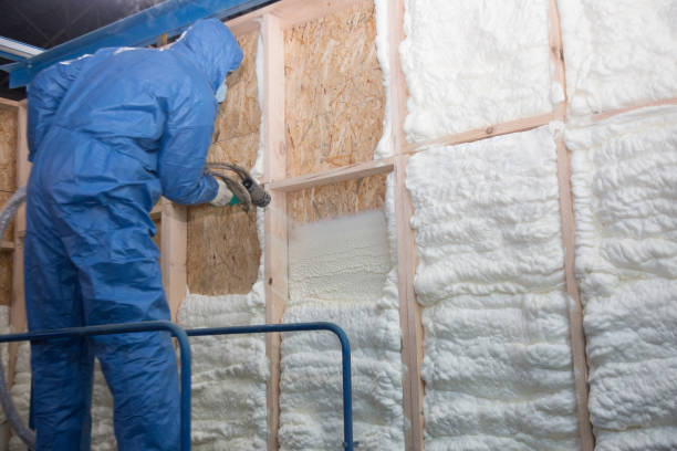 Best Insulation for New Construction  in Sacaton, AZ